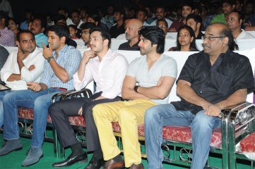 Manam Movie Vijayotsava Sabha